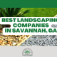 best landscaping companies in savannah ga