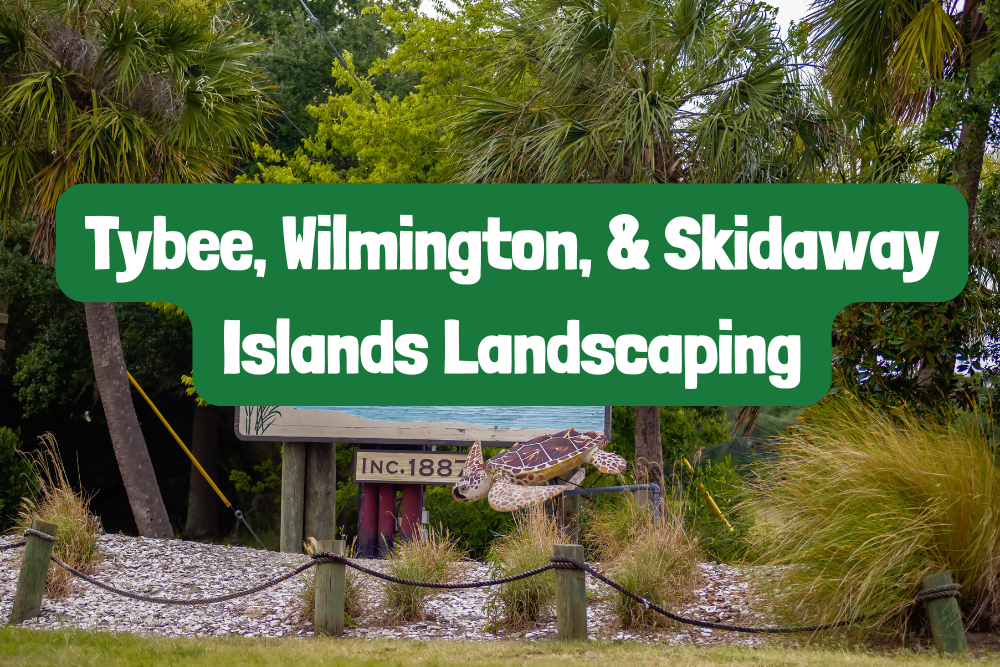 tybee island wilmington skidaway