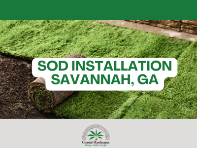 sod installation savannah