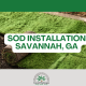 sod installation savannah