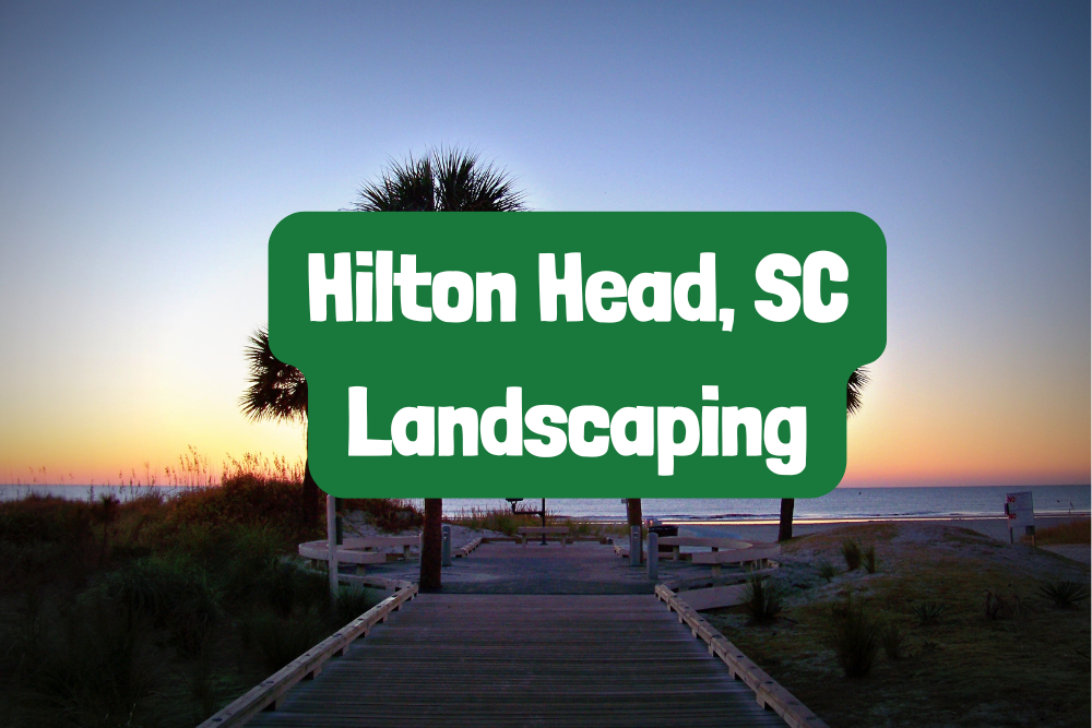 hilton head landscaping