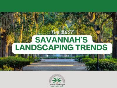 savannah landscaping trends