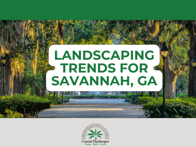 savannah landscape trends