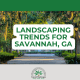 savannah landscape trends