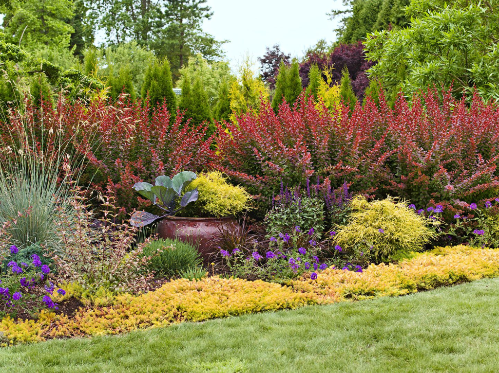Top 10 Landscape Trends in Savannah!