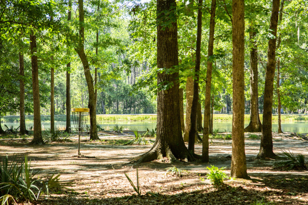 10 Must-Visit & Things to Do in Pooler Georgia for All Ages tom Triplett park pooler