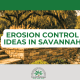 best erosion control in savannah tips ideas