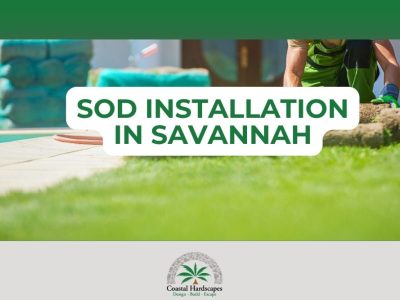 sod installation savannah ga