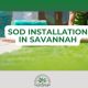 sod installation savannah ga